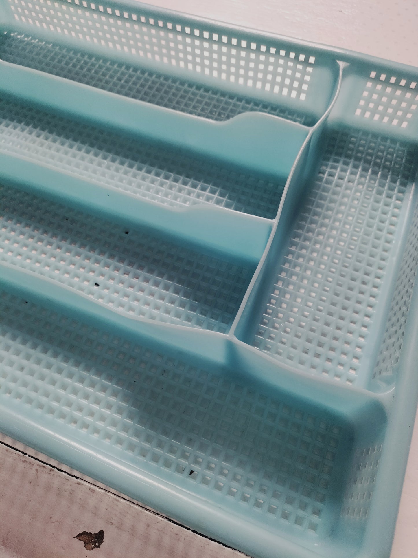 Range couverts en plastique