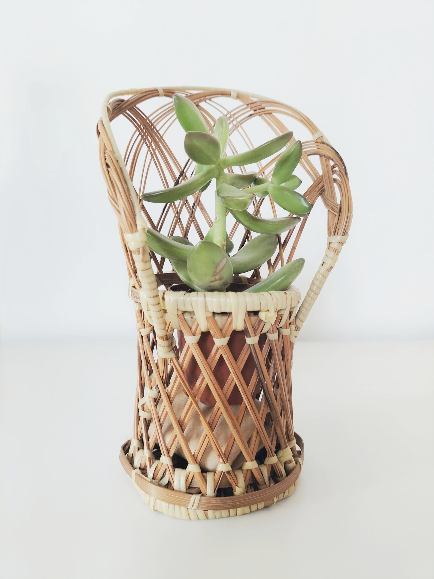 Petit cache-pot / pot