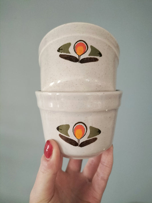 2 ramequins Louisiane St Amand