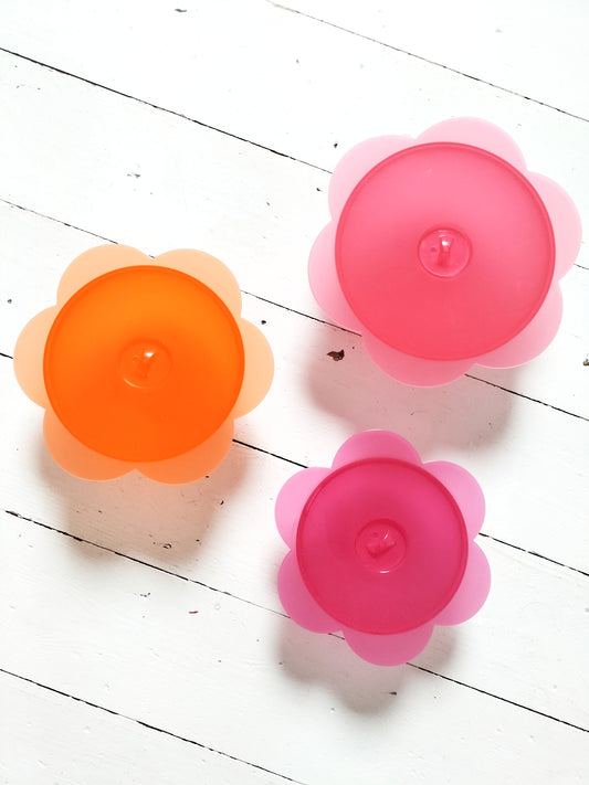 Ensemble de 3 boîtes de conservation 🌸 en plastique