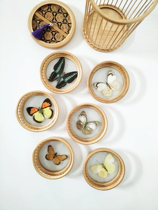 Ensemble de 6 sous-verres décor papillons