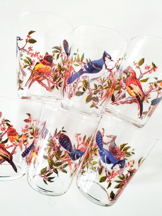 Ensemble de 6 petits verres à eau