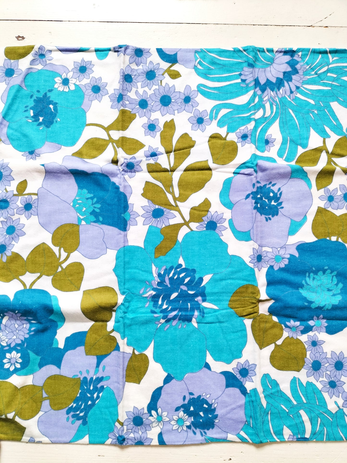 Ensemble de deux taies d'oreiller molletonnées Blantiss