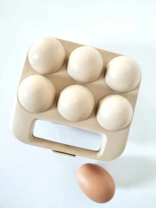 Boîte à œufs en plastique