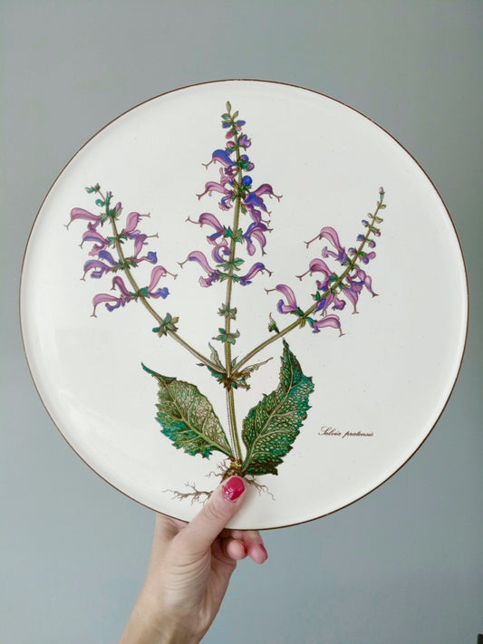 Plat à gâteau/ grande assiette de service Villeroy et Boch Botanica