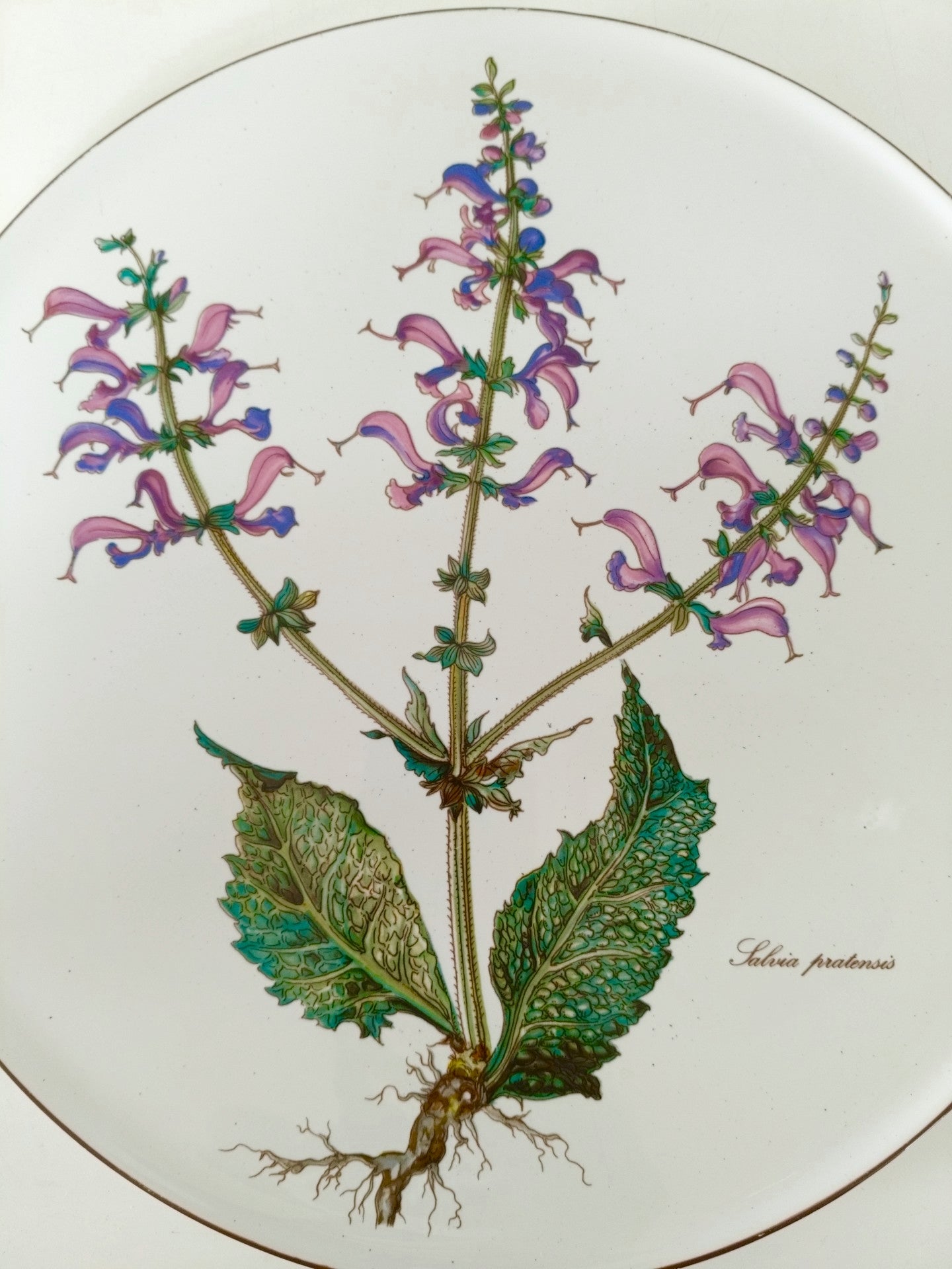 Plat à gâteau/ grande assiette de service Villeroy et Boch Botanica