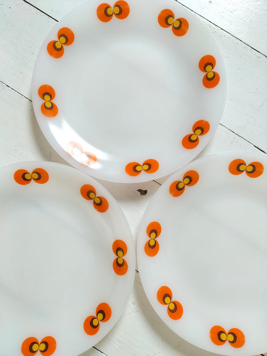 Trio d'assiettes plates Schott Mainz Carina