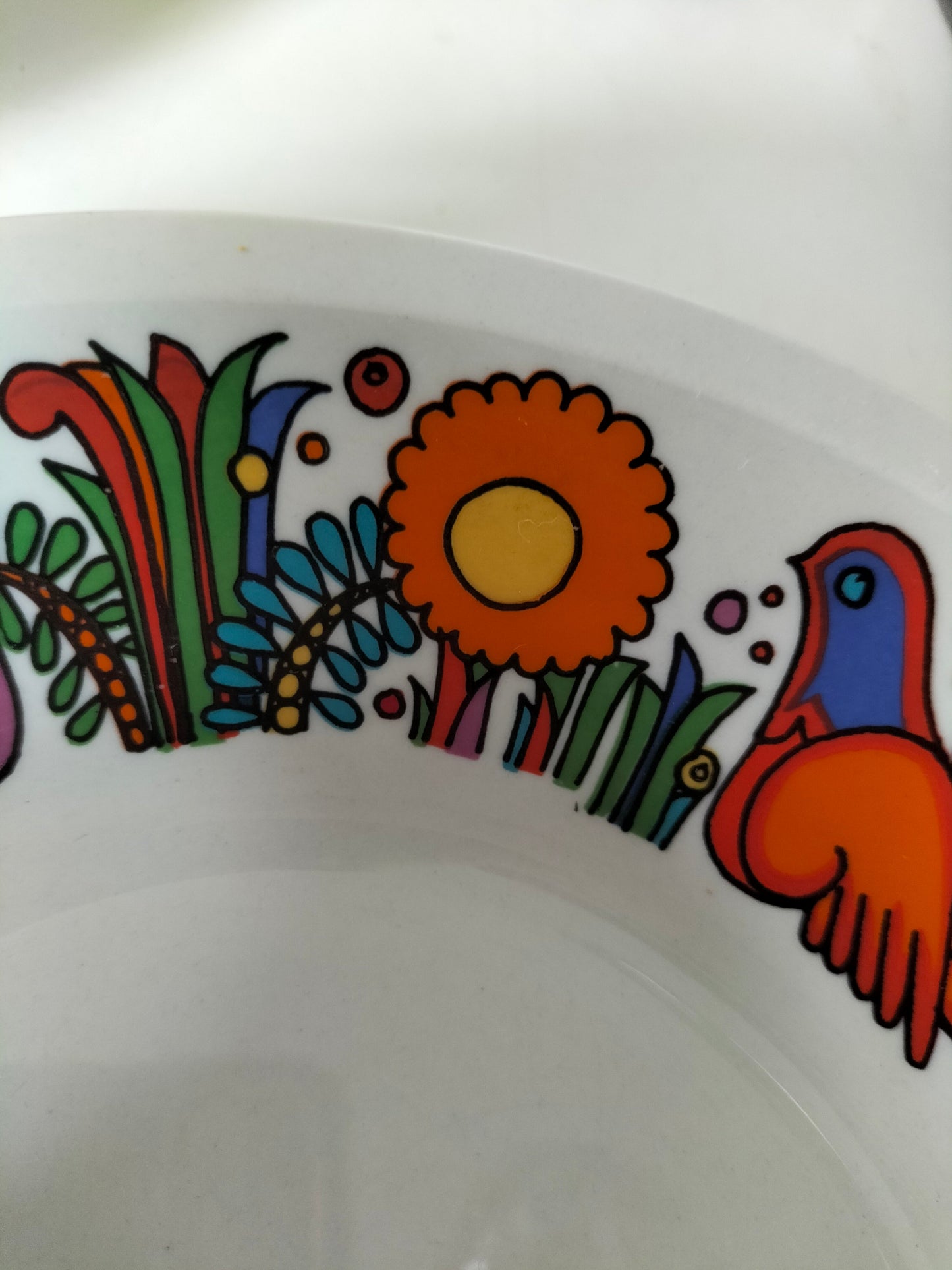 Duo d'assiettes creuses Villeroy et Boch Acapulco