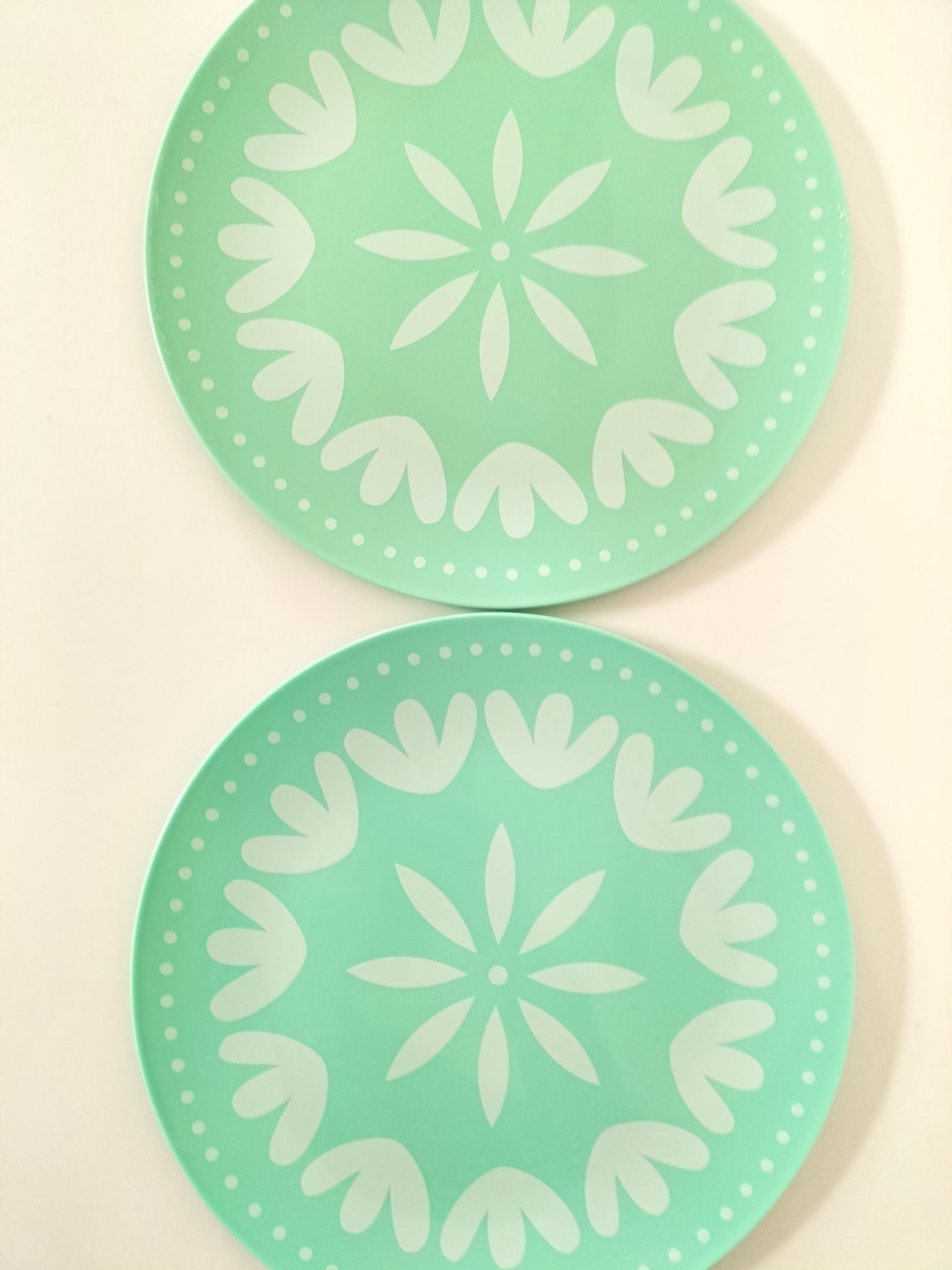 Duo d'assiettes en plastique