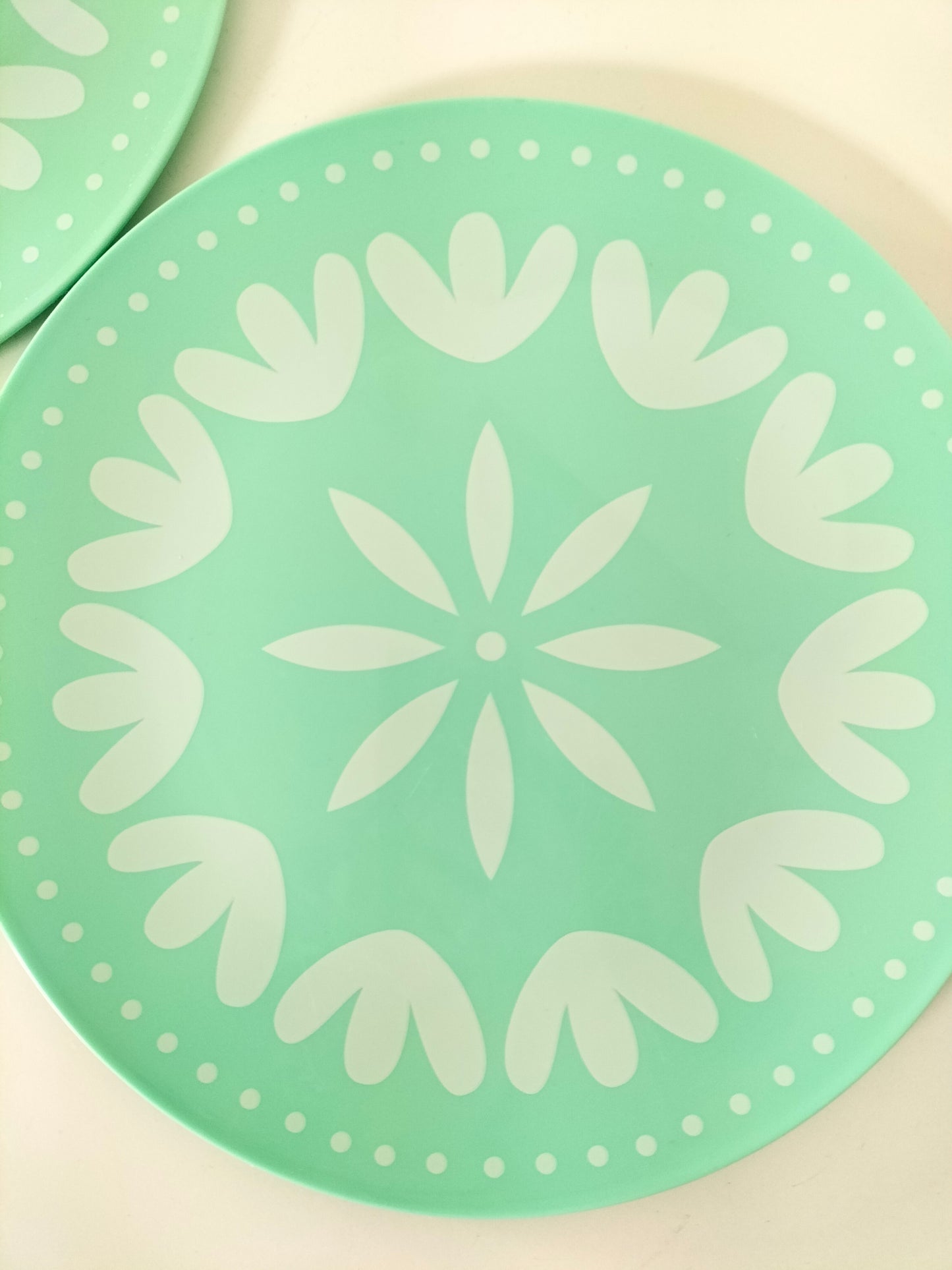Duo d'assiettes en plastique
