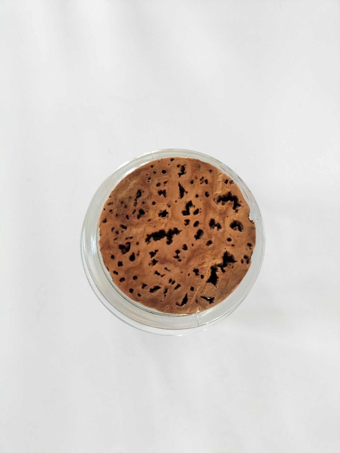 Pot/ bocal en verre Rhodolaena bakeriana