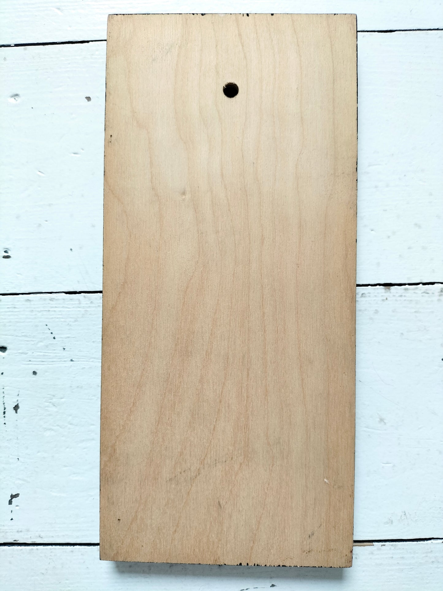 Illustration murale sur bois Agnès