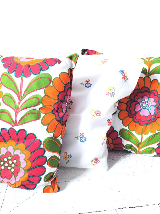 Duo de coussins décoratifs