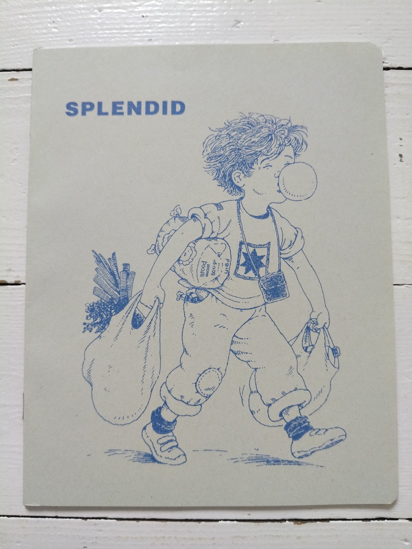 Cahier Splendid A5 au choix