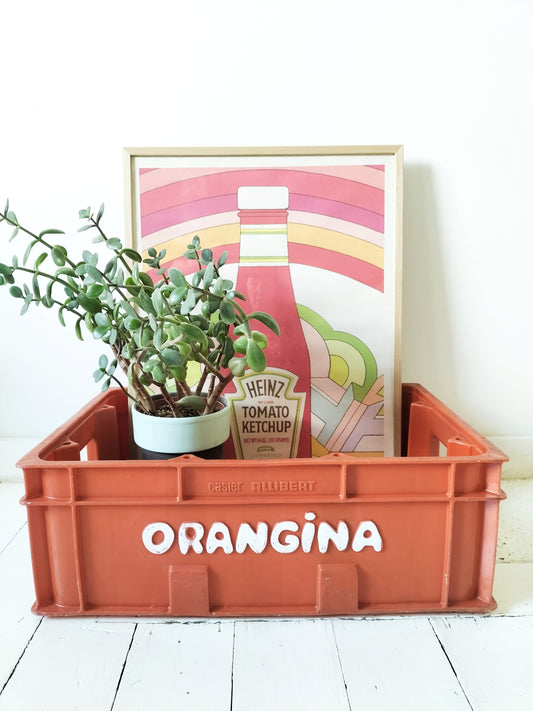 Casier/ caisse Orangina en plastique par Allibert