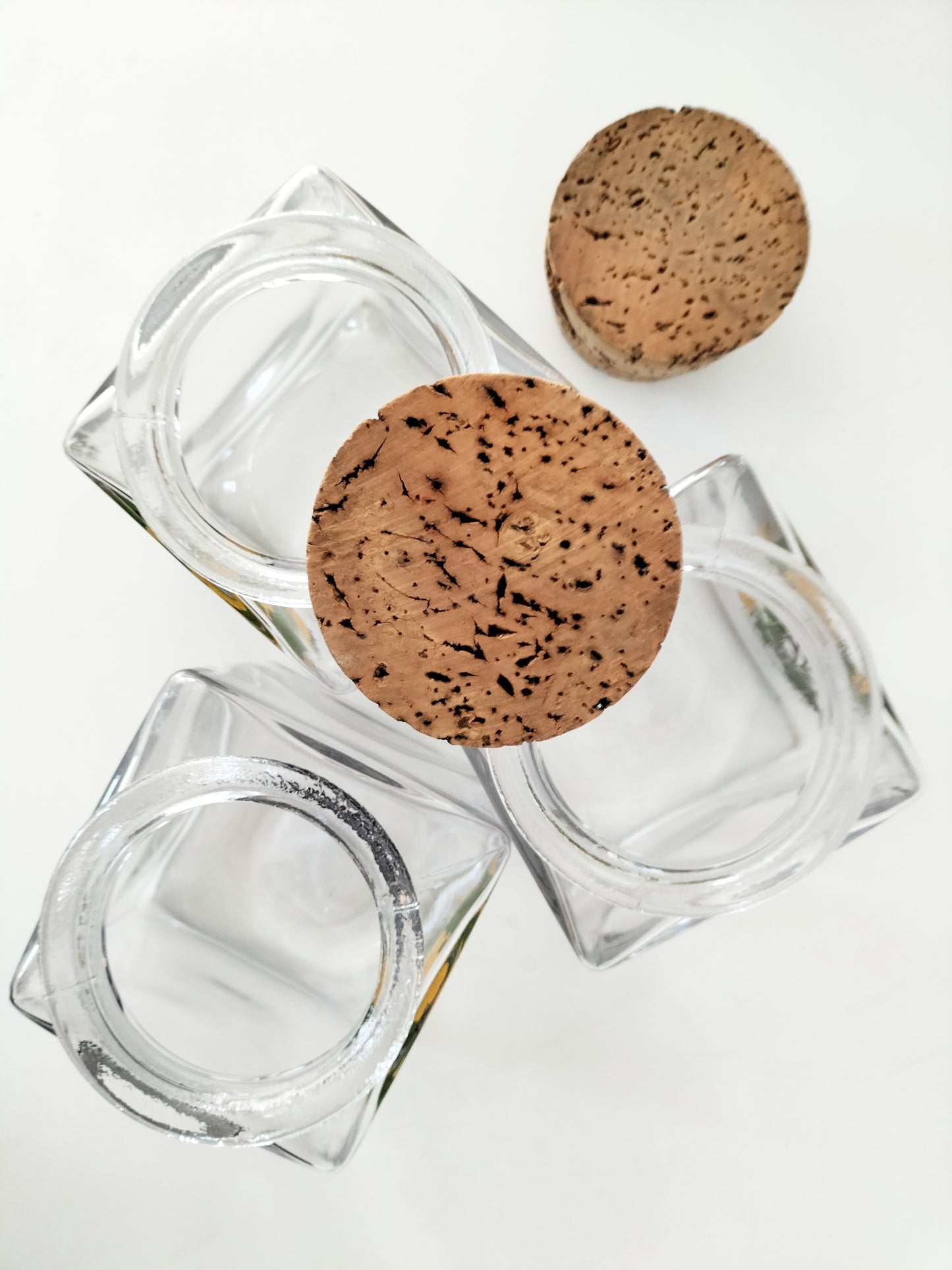 Bocal/ pot Rosa Pimpinellifolia (à l'unité)