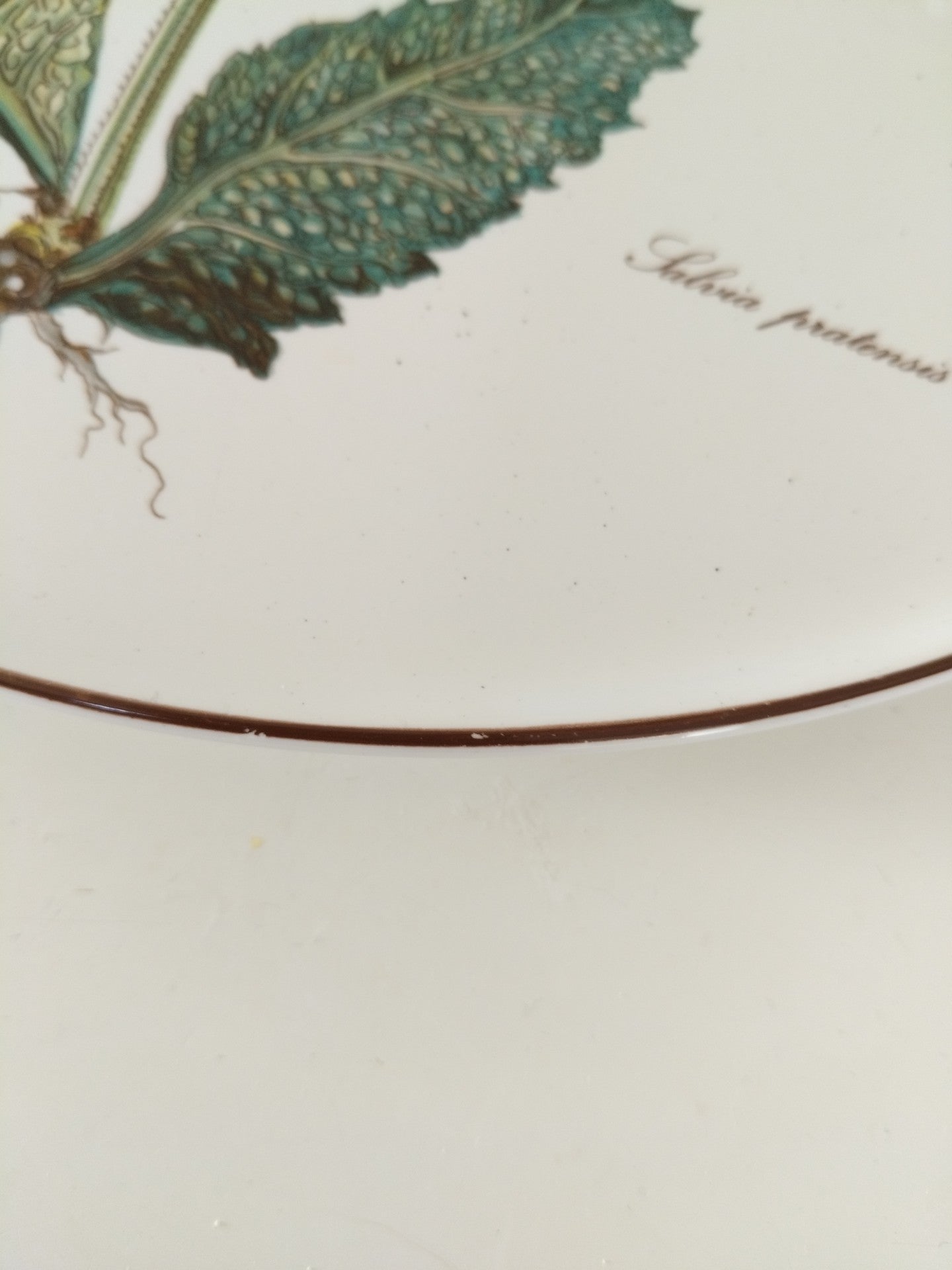 Plat à gâteau/ grande assiette de service Villeroy et Boch Botanica