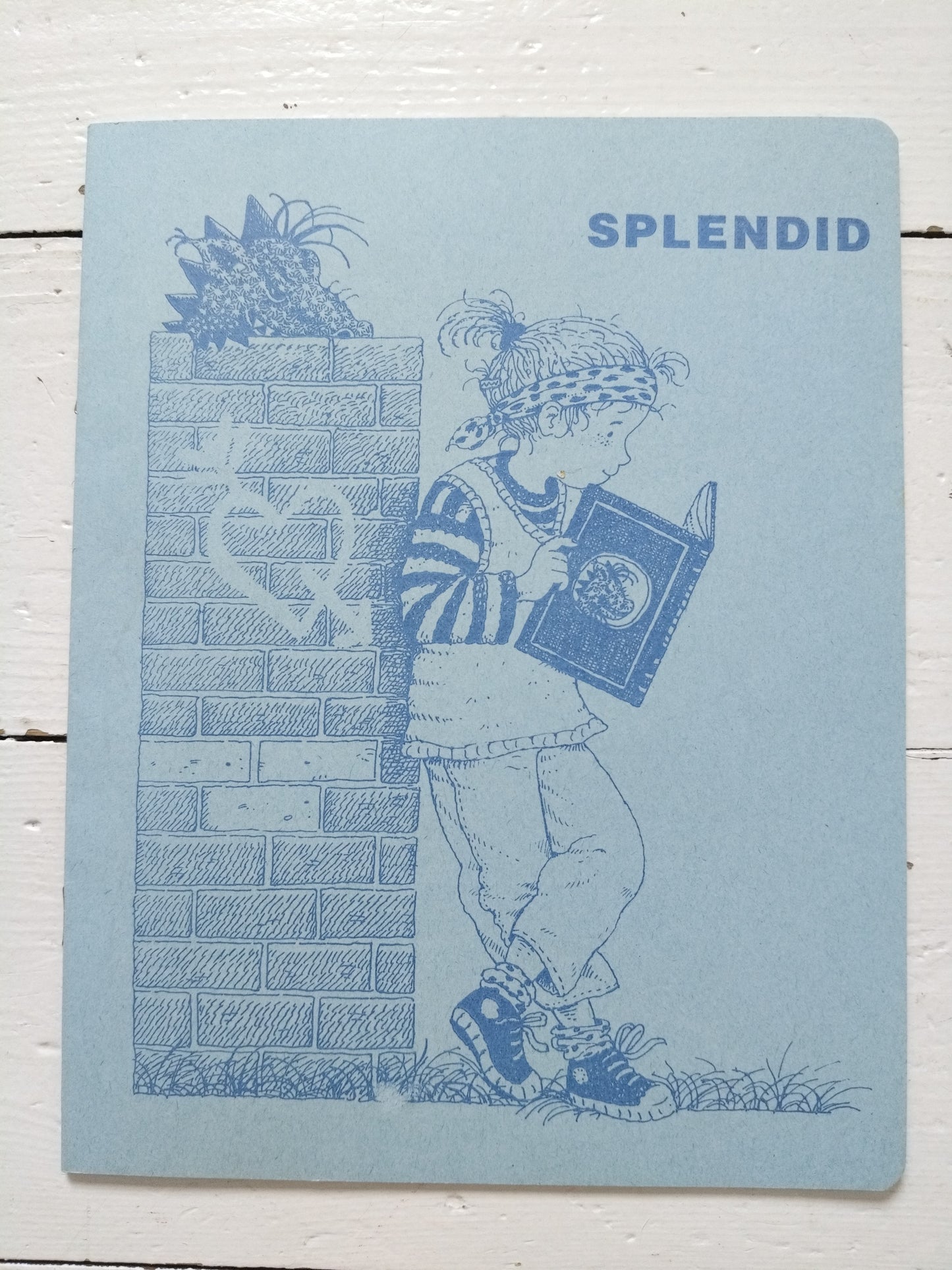 Cahier Splendid A5 au choix