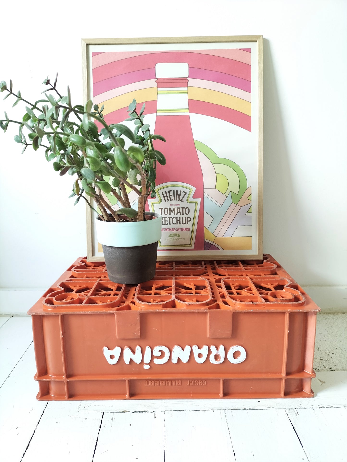 Casier/ caisse Orangina en plastique par Allibert