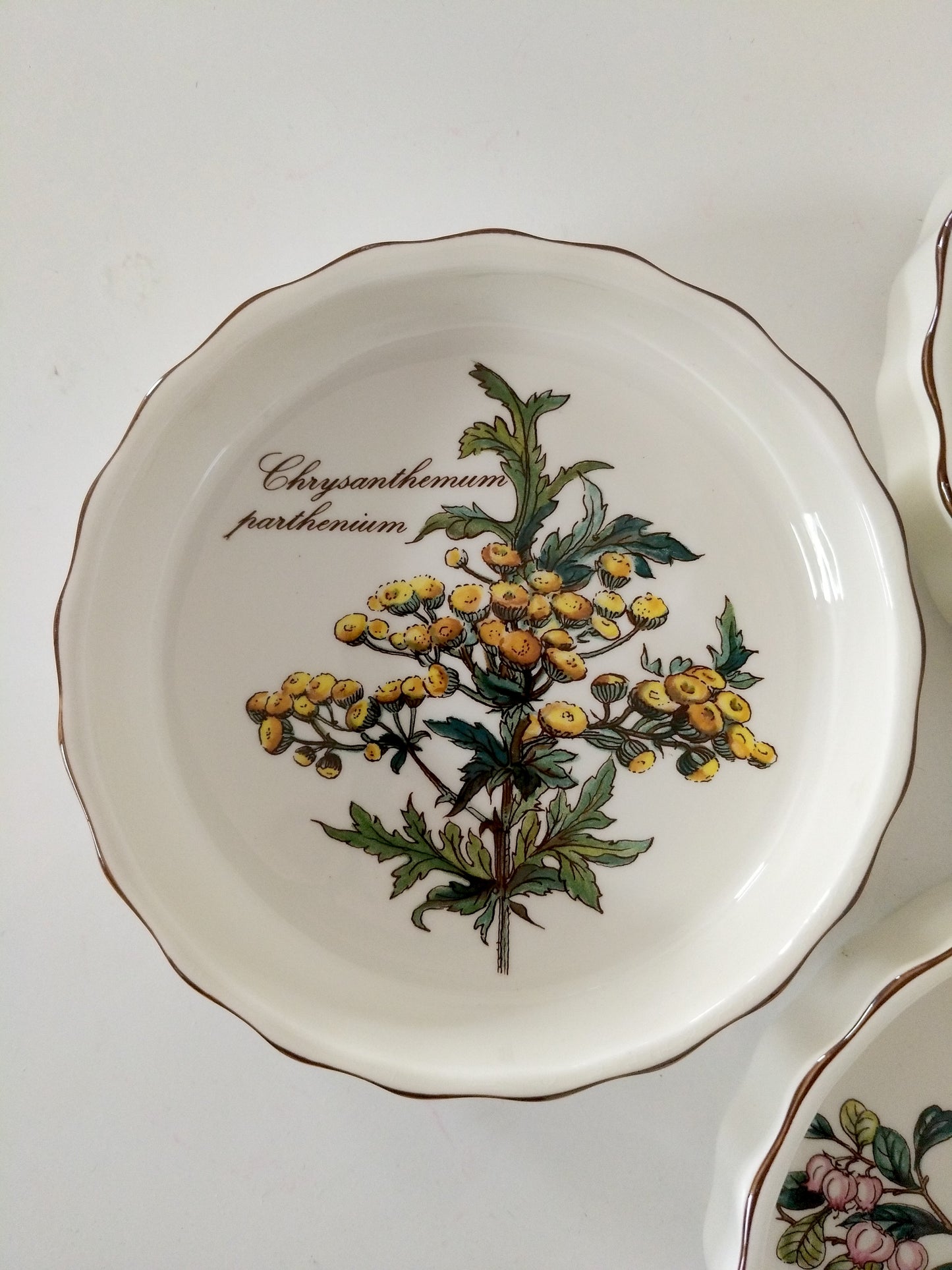 3 ramequins Villeroy et Boch Vilbofour Botanica