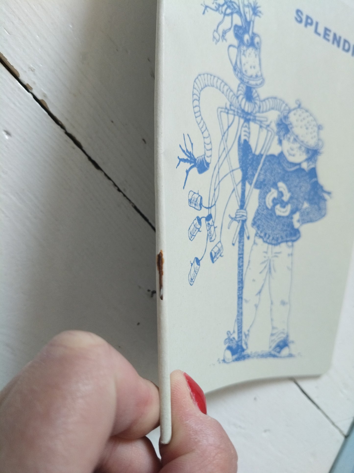 Cahier Splendid A5 au choix