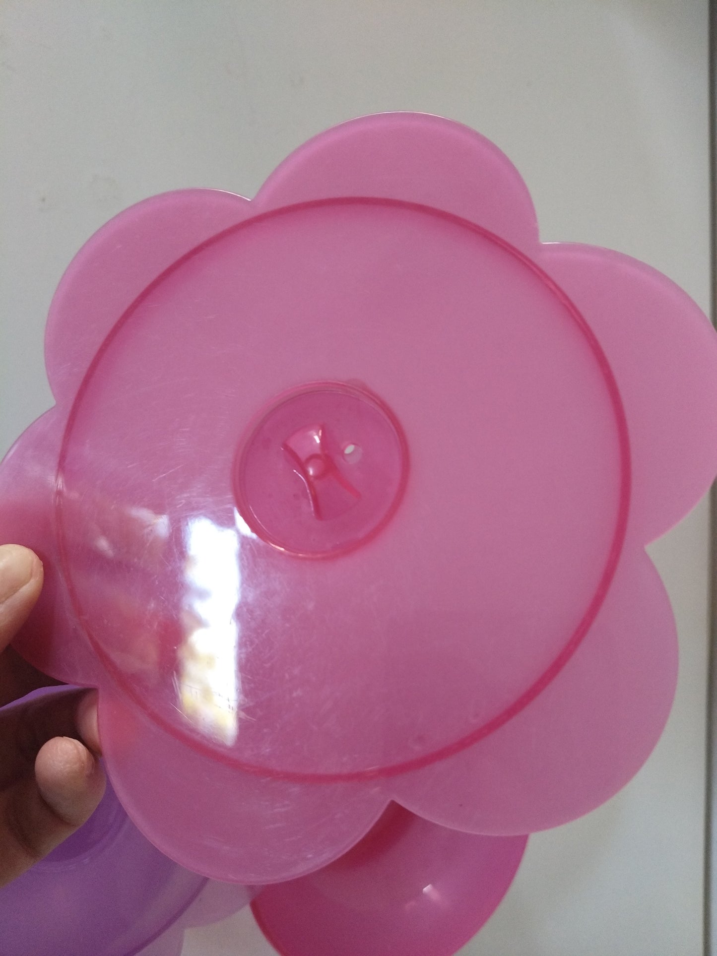 Ensemble de 2 petites boîtes de conservation 🌸 en plastique