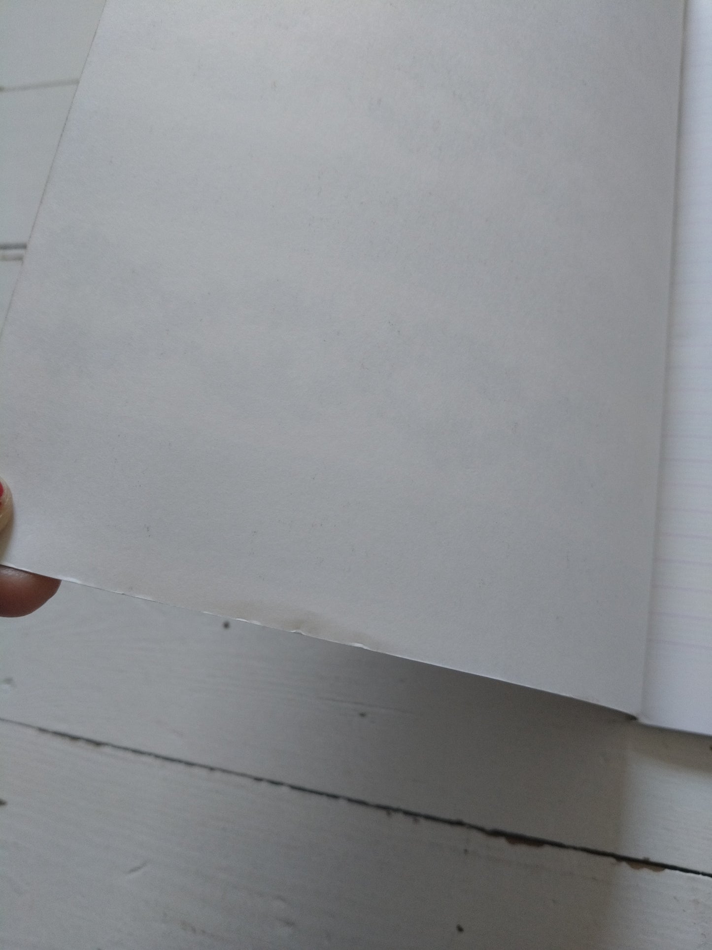 Cahier Chipie A4