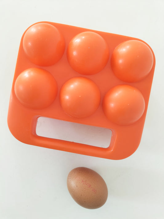 Boîte à œufs en plastique " Soupledur "