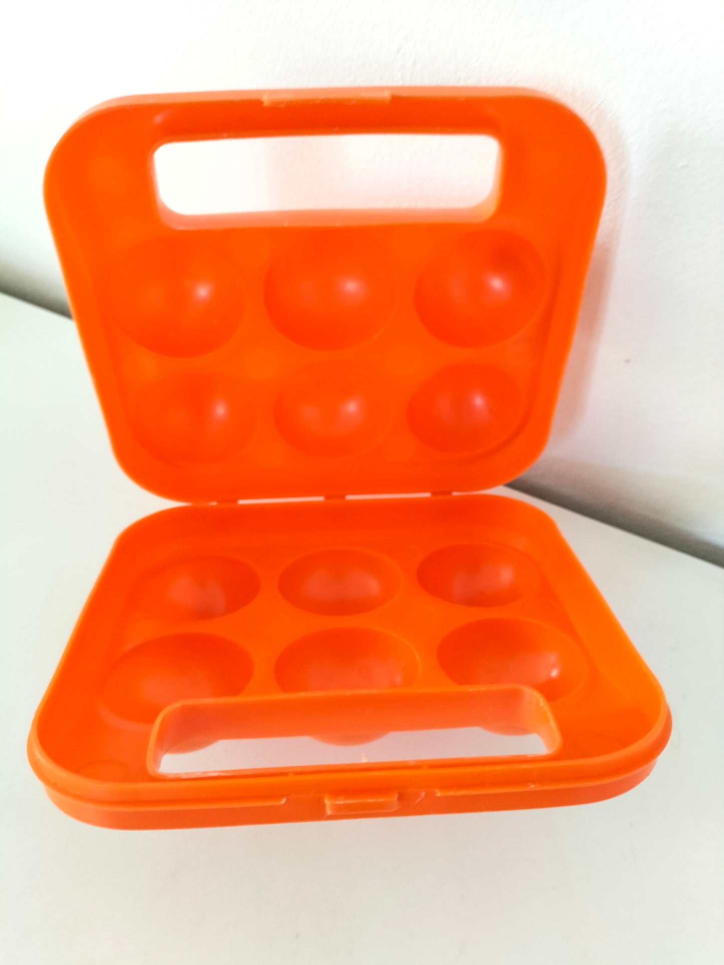 Boîte à œufs en plastique " Soupledur "