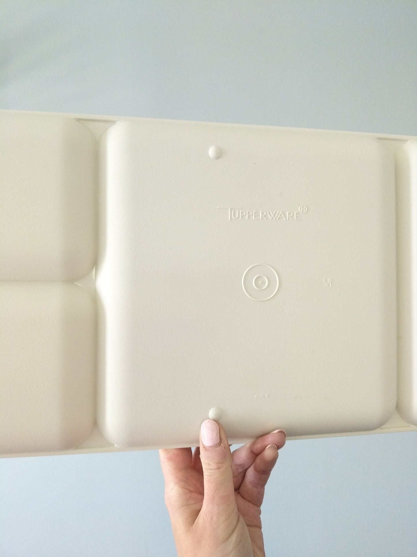 Plateau compartimenté Tupperware - cetaitmieuxavant