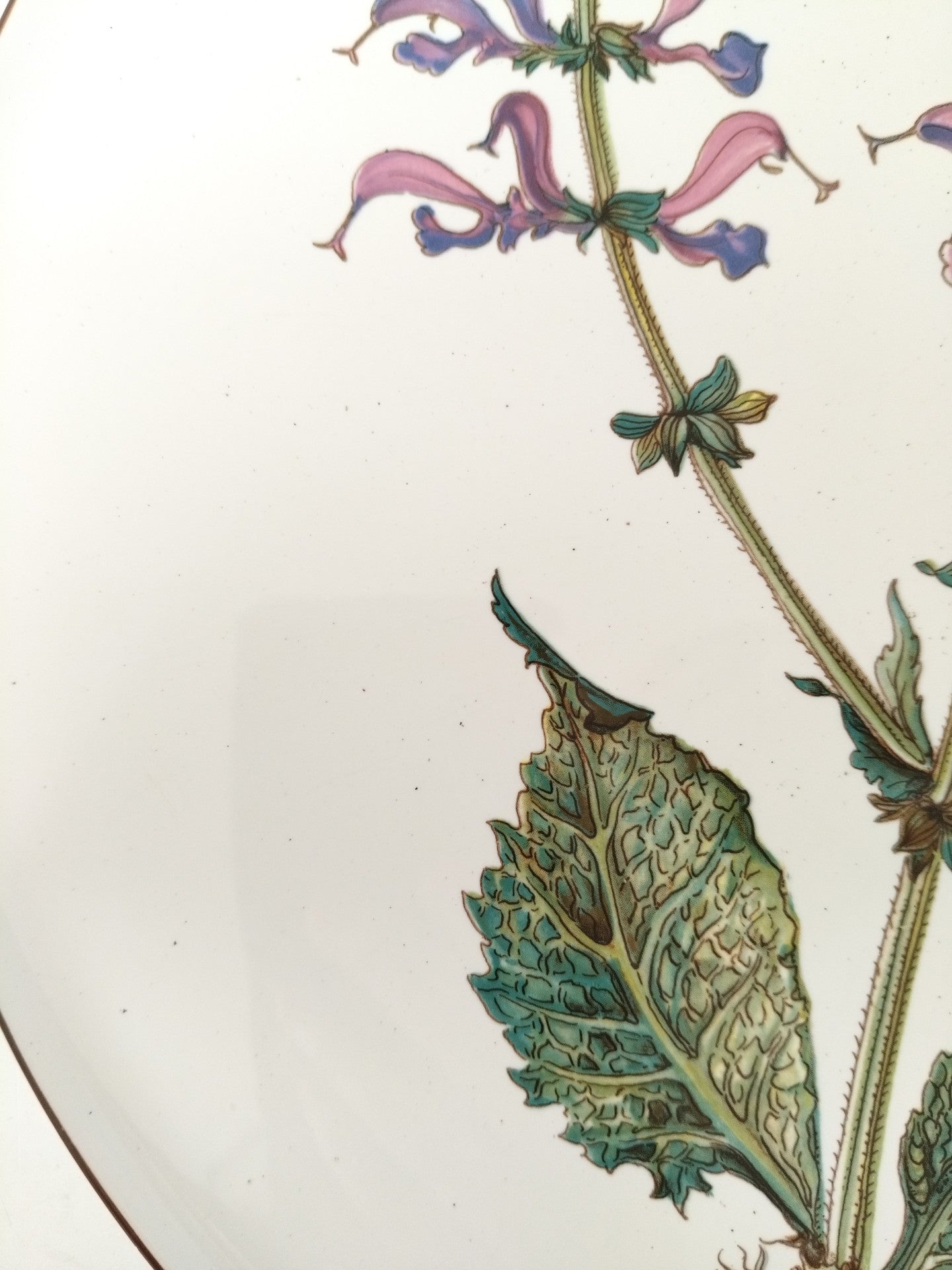 Plat à gâteau/ grande assiette de service Villeroy et Boch Botanica