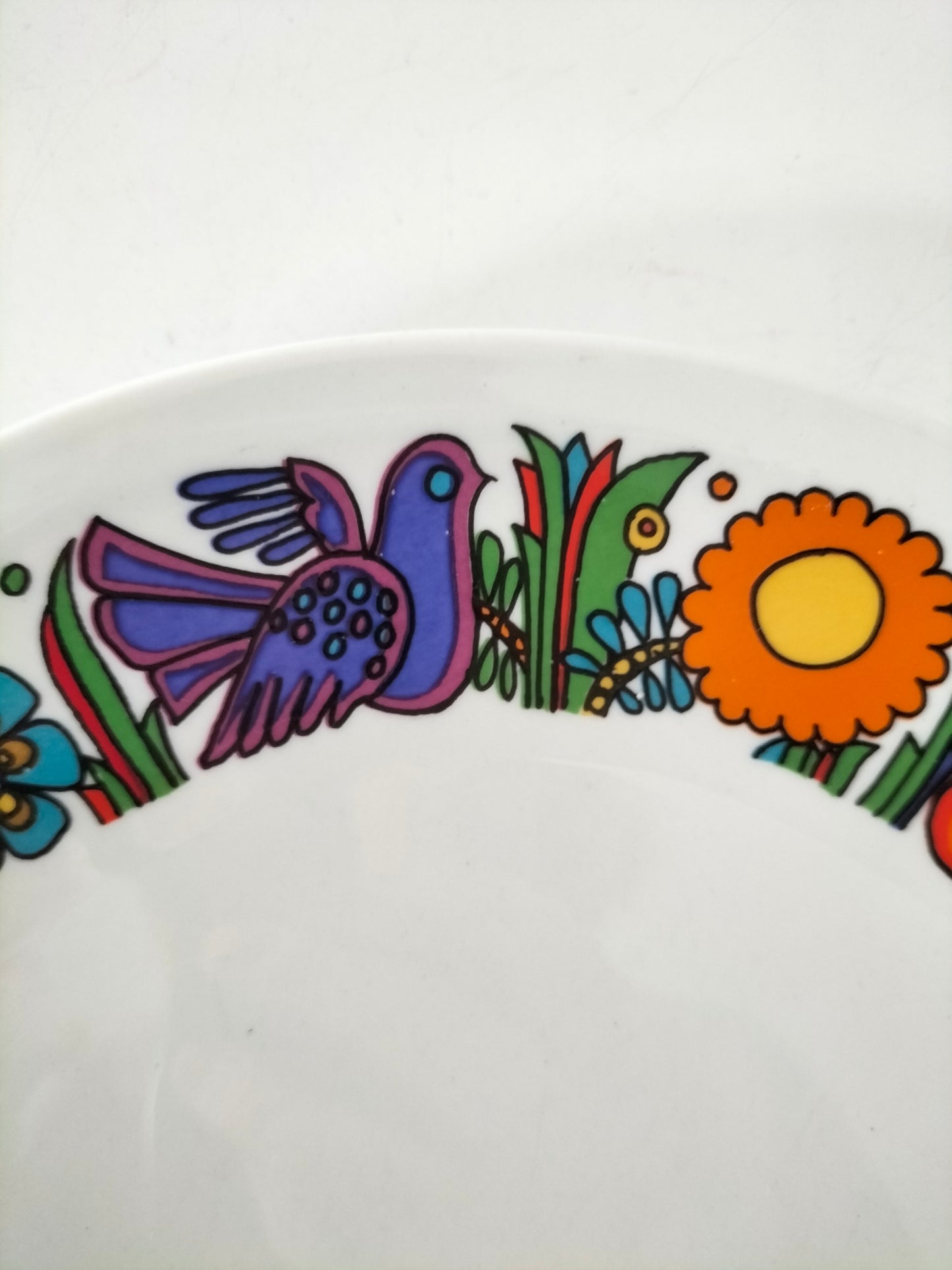 Duo d'assiettes plates Villeroy et Boch Acapulco