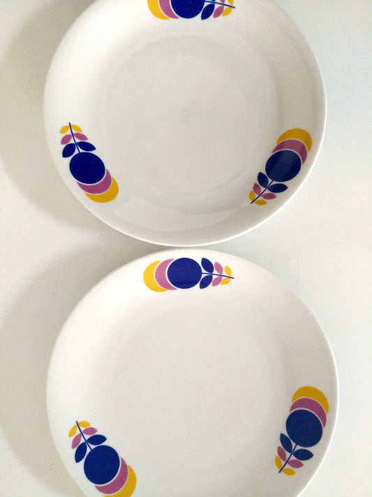 2 assiettes à dessert en porcelaine Seltmann Weiden Bavaria Germany