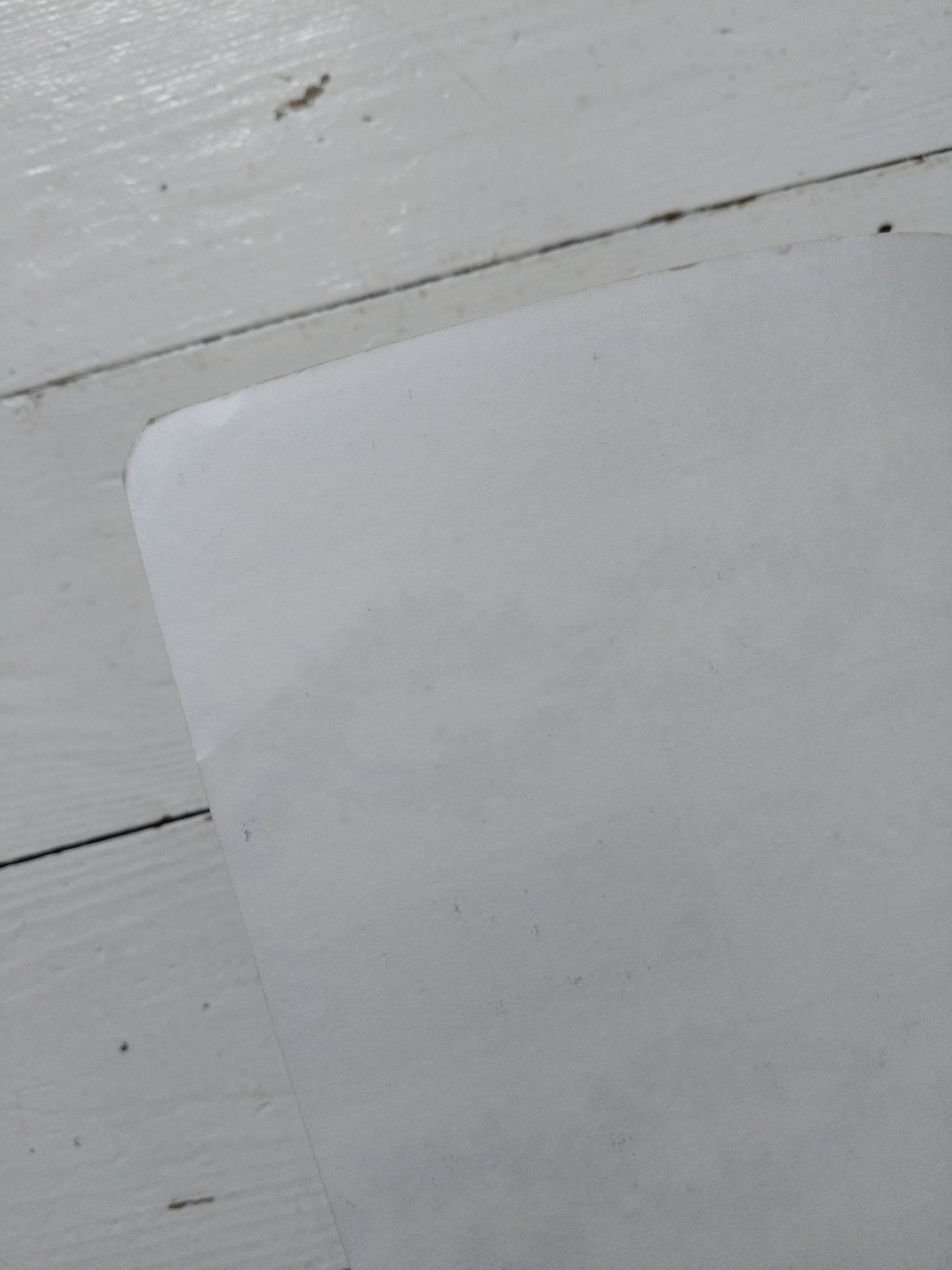 Cahier Chipie A4