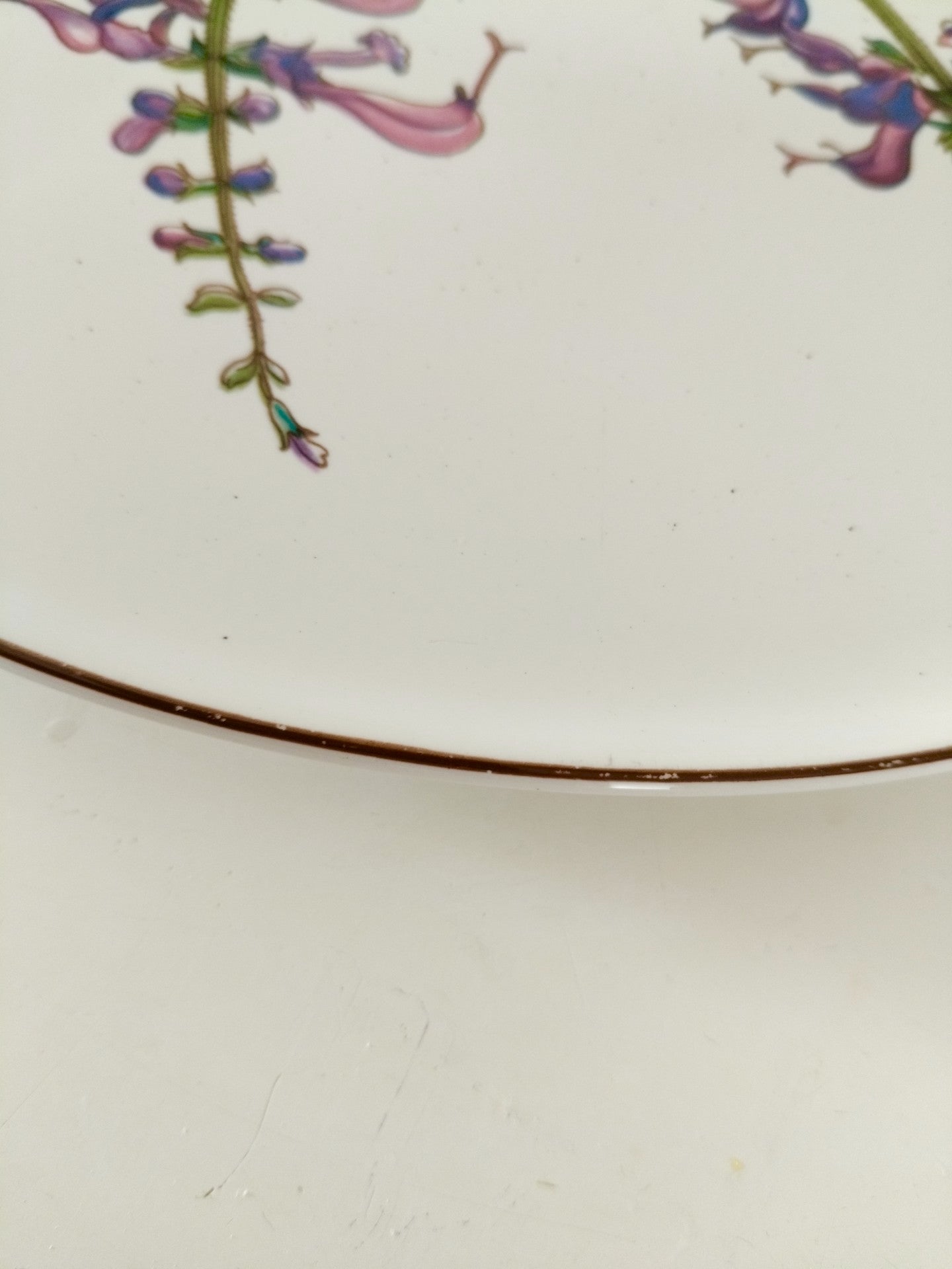 Plat à gâteau/ grande assiette de service Villeroy et Boch Botanica