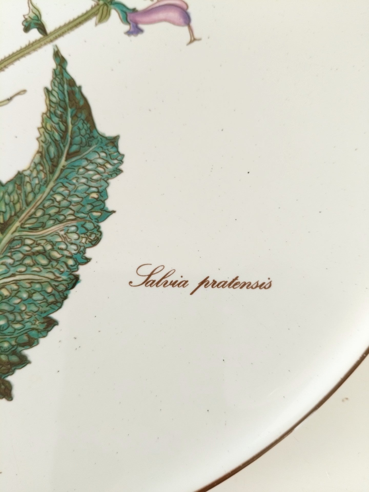Plat à gâteau/ grande assiette de service Villeroy et Boch Botanica