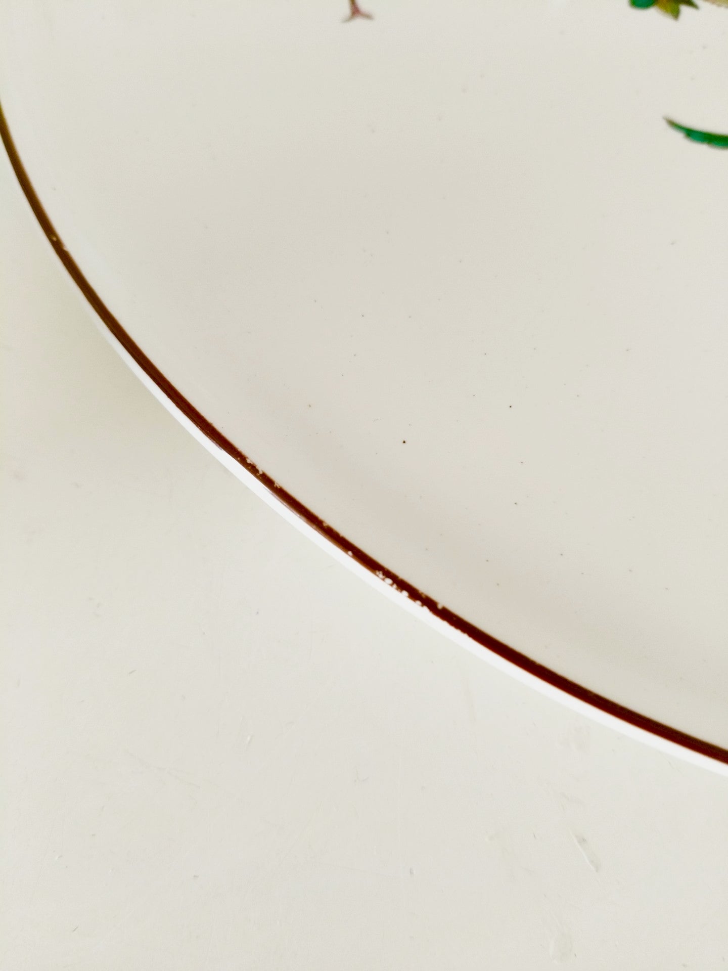 Plat à gâteau/ grande assiette de service Villeroy et Boch Botanica