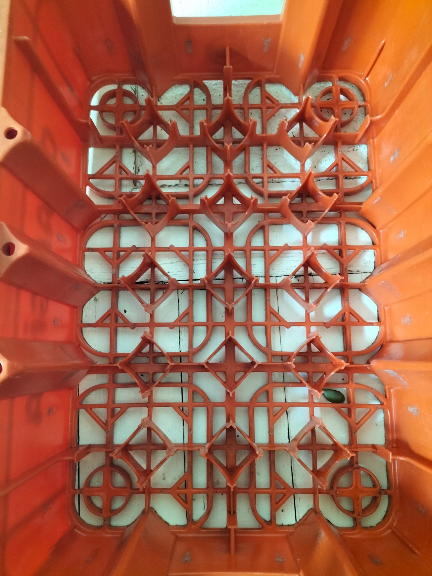 Casier/ caisse Orangina en plastique par Allibert