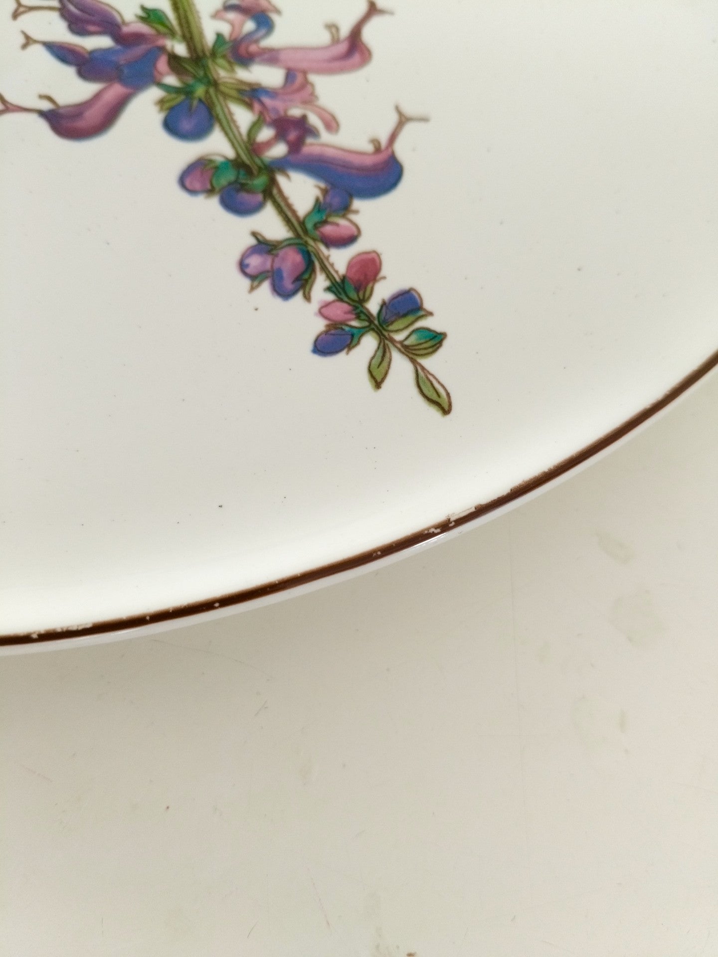 Plat à gâteau/ grande assiette de service Villeroy et Boch Botanica
