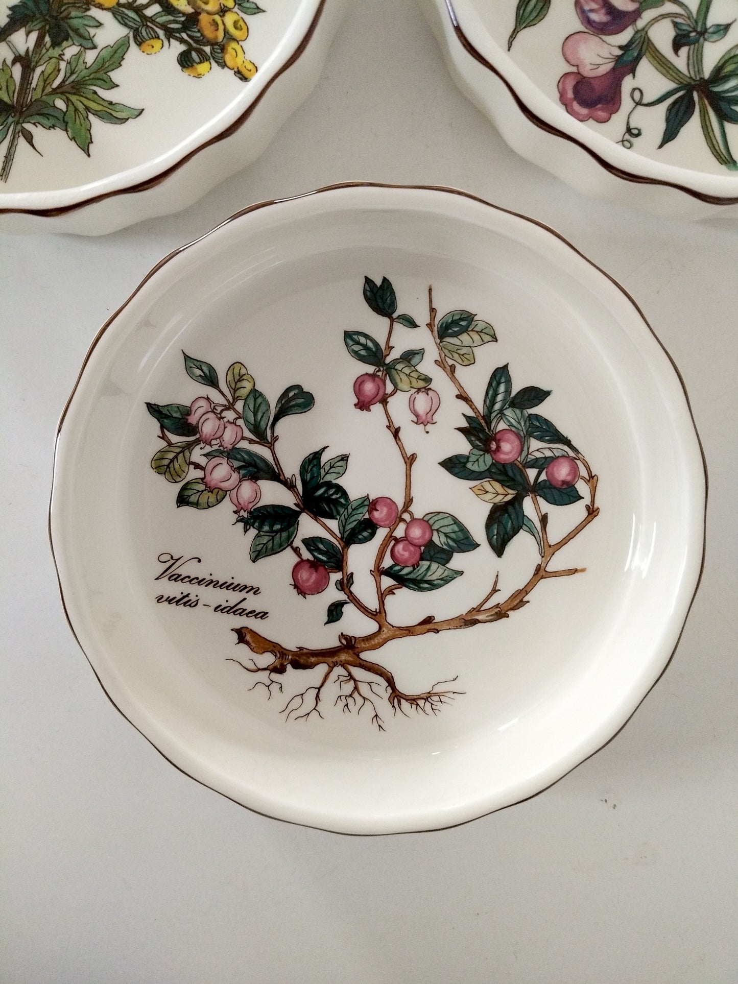 3 ramequins Villeroy et Boch Vilbofour Botanica