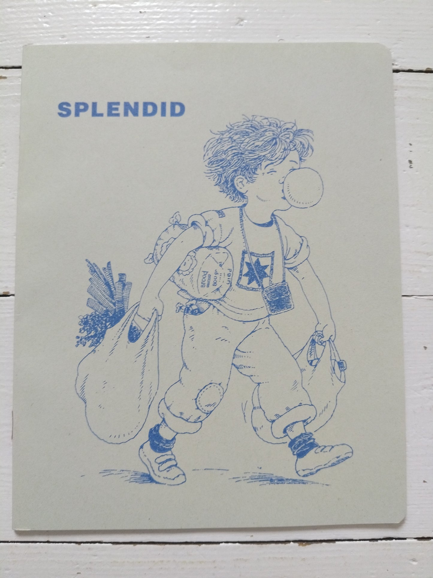 Cahier Splendid A5 au choix