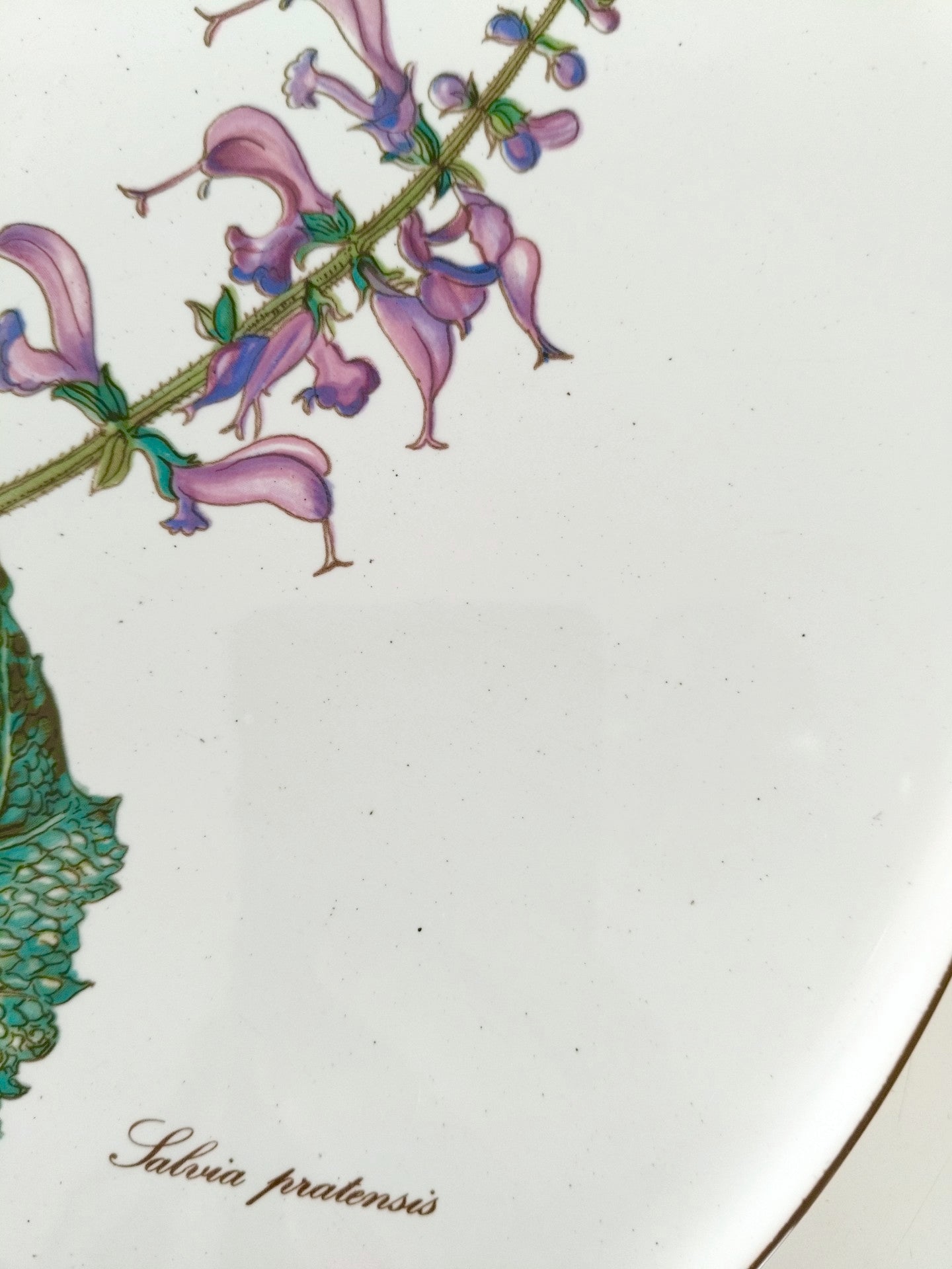 Plat à gâteau/ grande assiette de service Villeroy et Boch Botanica