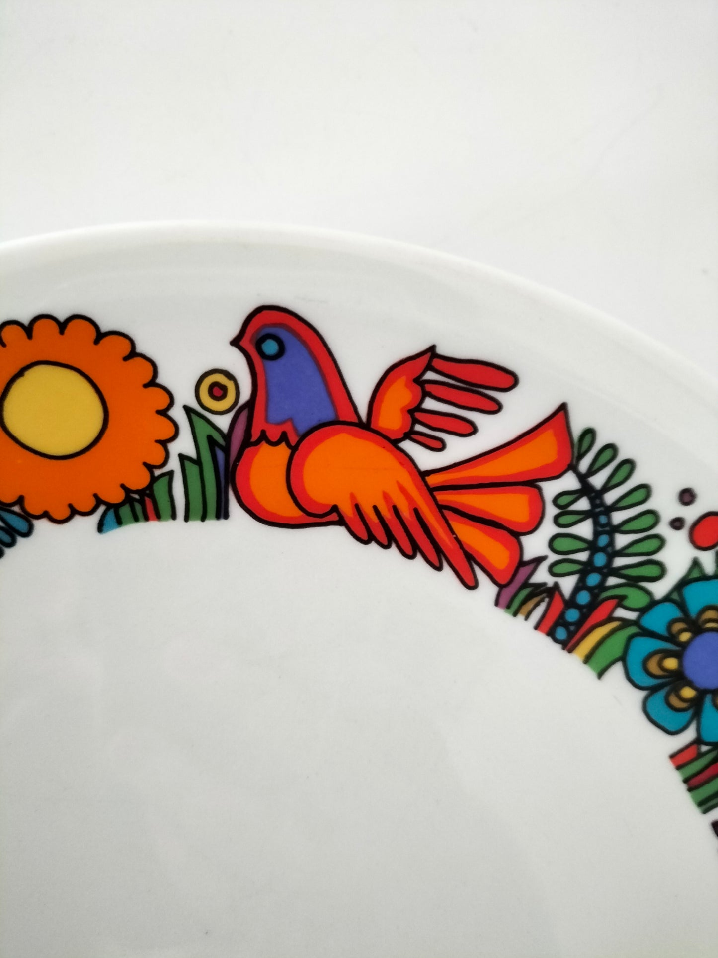 Duo d'assiettes plates Villeroy et Boch Acapulco