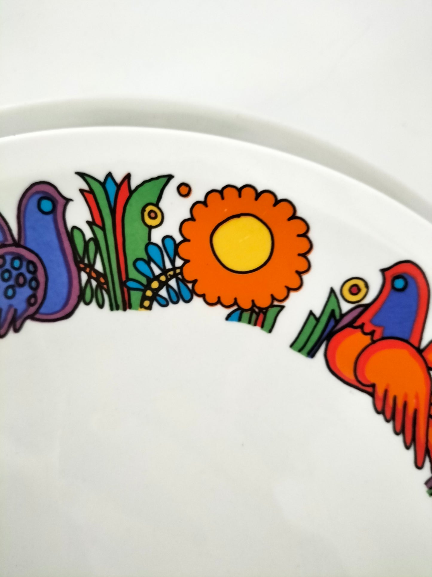 Duo d'assiettes plates Villeroy et Boch Acapulco