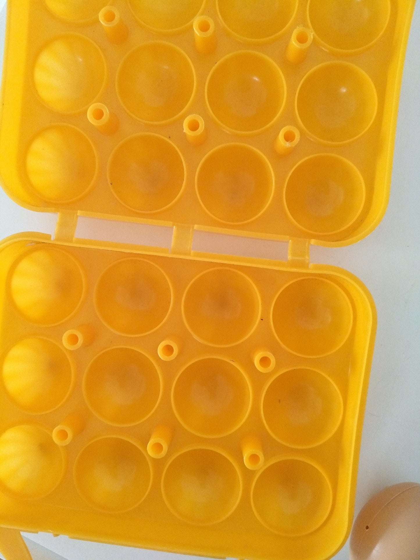 Boîte à 12 œufs en plastique