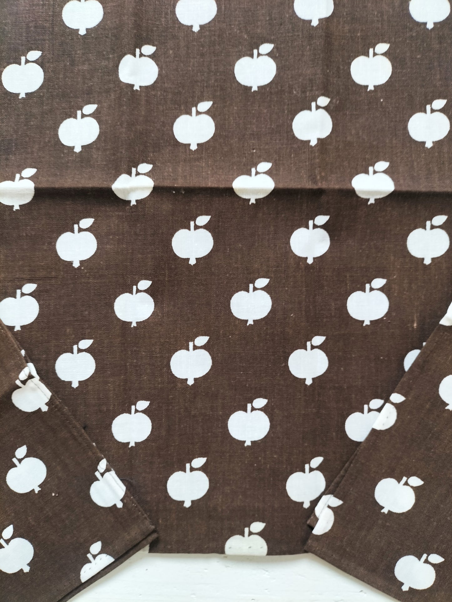 Duo de serviettes en tissu décor 🍎