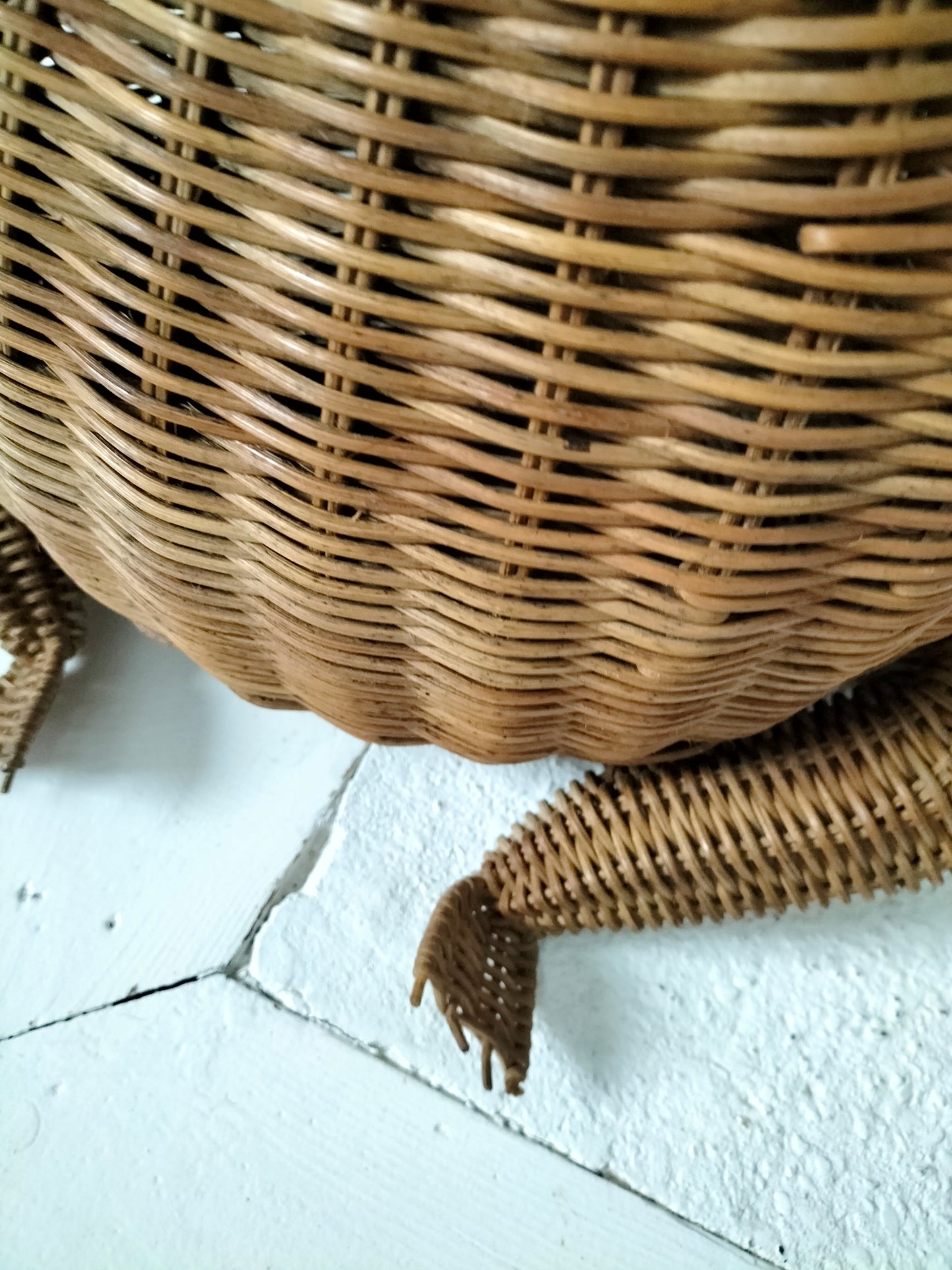 Porte-revues/ panier grenouille en osier par Olivier Cajan