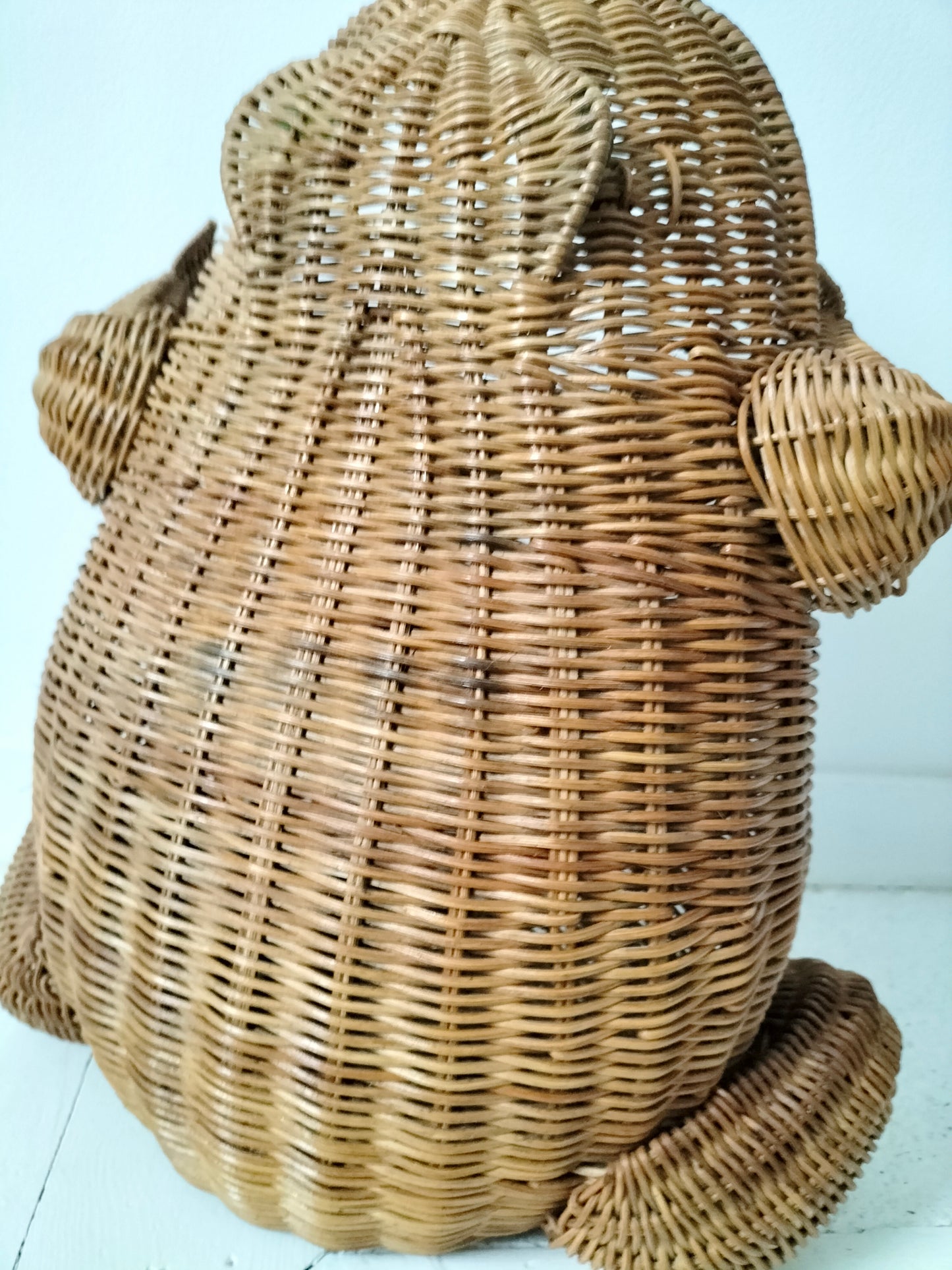 Porte-revues/ panier grenouille en osier par Olivier Cajan