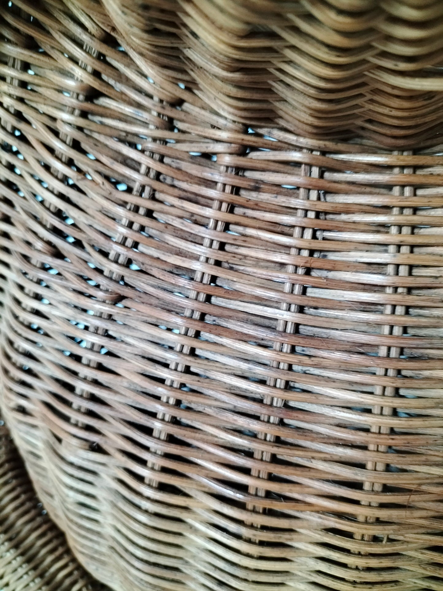 Porte-revues/ panier grenouille en osier par Olivier Cajan