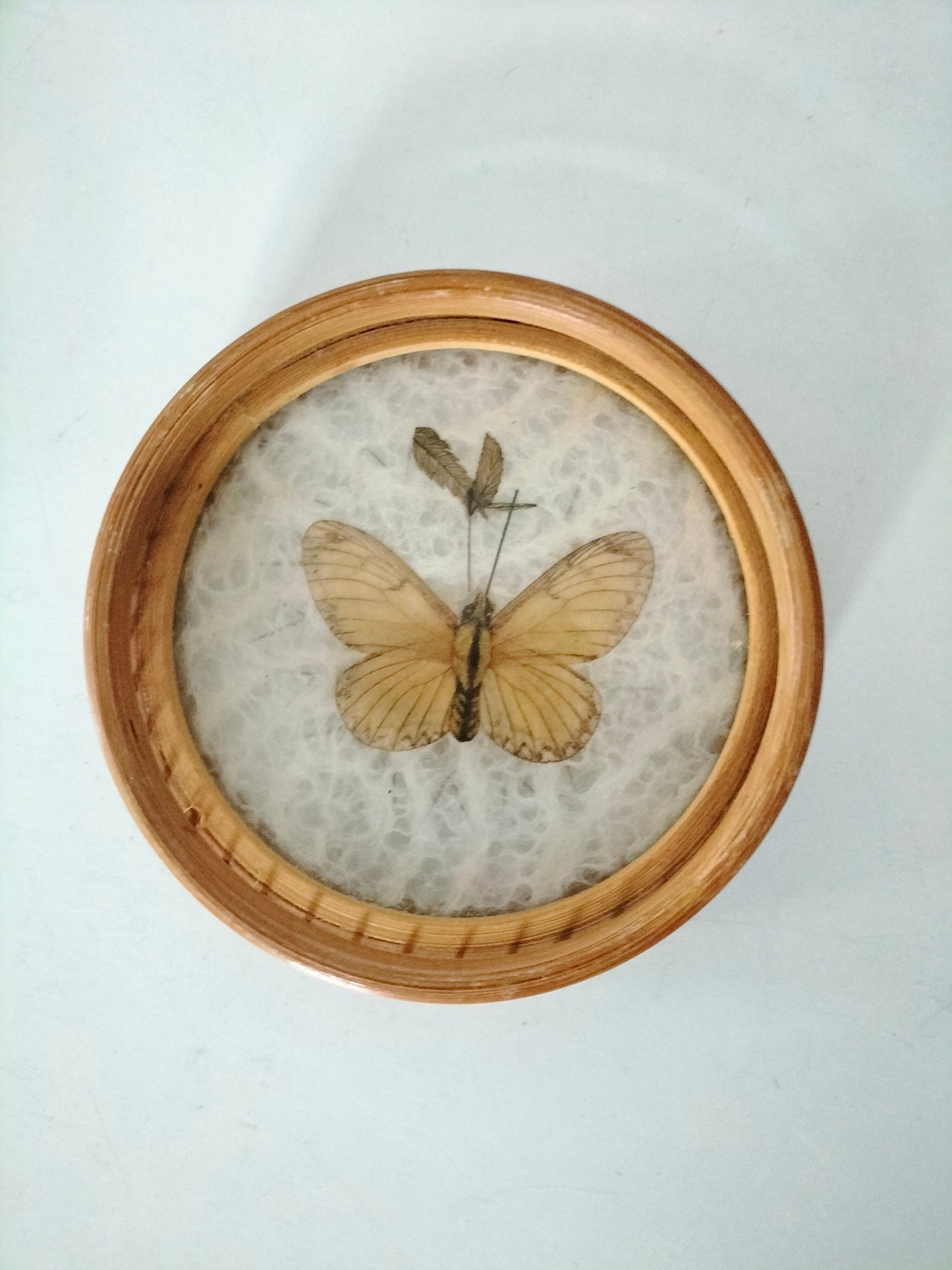 Set de 4 sous-verres bois et rotin papillon